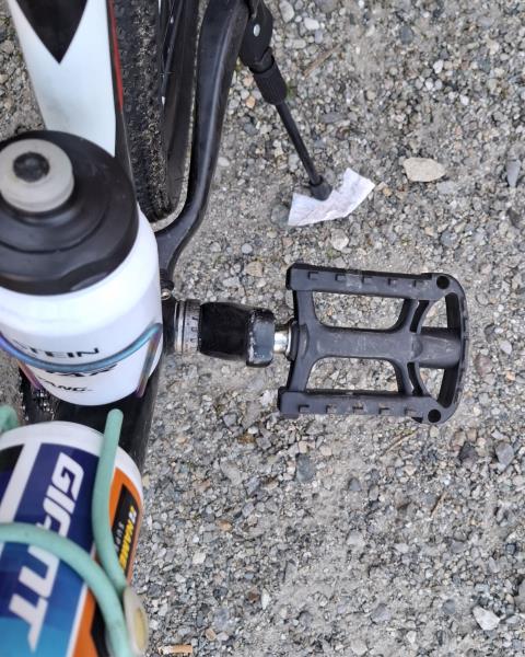 BICI MTB RIDLEY IGNITE