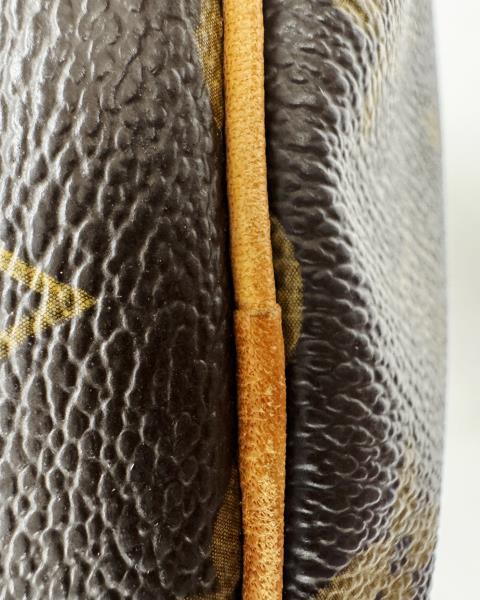 BAULETTO LOUIS VUITTON SPEEDY 30 (no lucchetto)