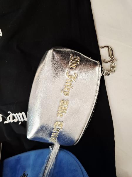 BORSETTA  A MANO JUICY COUTURE AZZURRA