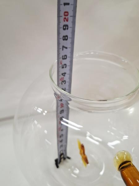 BROCCA VETRO CON STELLA WD LIFESTYLE