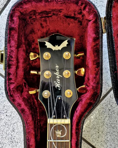 CHITARRA ELETTRICA HARPER CON CUSTODIA