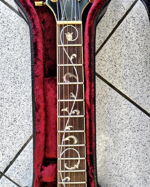 CHITARRA ELETTRICA HARPER CON CUSTODIA
