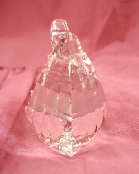 CIGNO SWAROVSKI  CENTENARIO 1895/1995