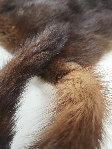 COLLO VISONE MARRONE