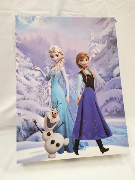 COPRIPIUMINO CON FEDERA DISNEY FROZEN LETTO SINGOLO