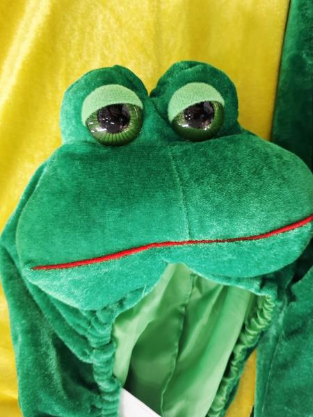 COSTUME CARNEVALE RANOCCHIA TG 2/3 ANNI