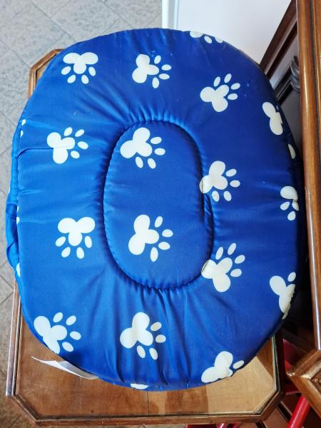 CUCCIA GATTO BLU