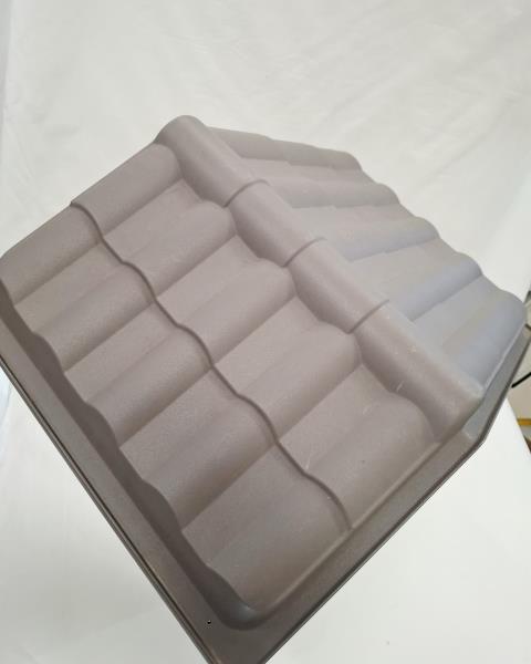 CUCCIA GRIGIA X AMICO PELOSO