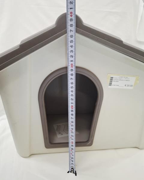 CUCCIA GRIGIA X AMICO PELOSO