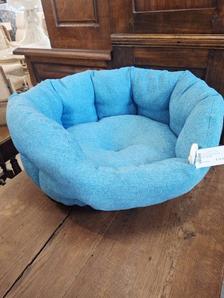 CUCCIA X AMICO PELOSO NOE' AZZURRA