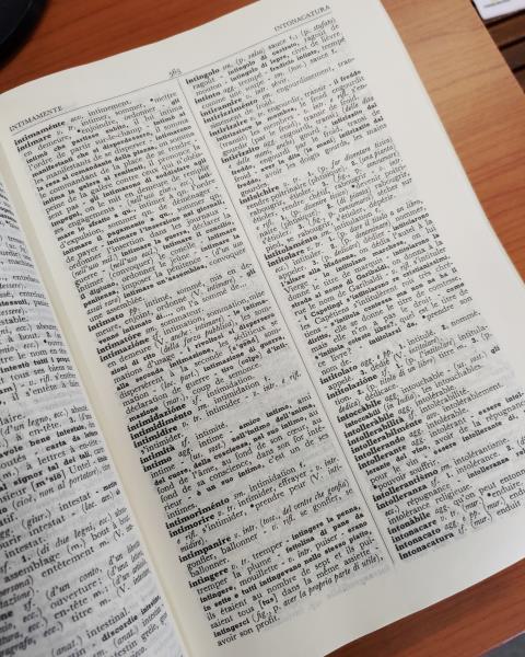 DIZIONARIO FRANCESE ITALIANO