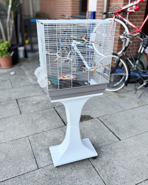 GABBIA BIANCA CON PIANTANA