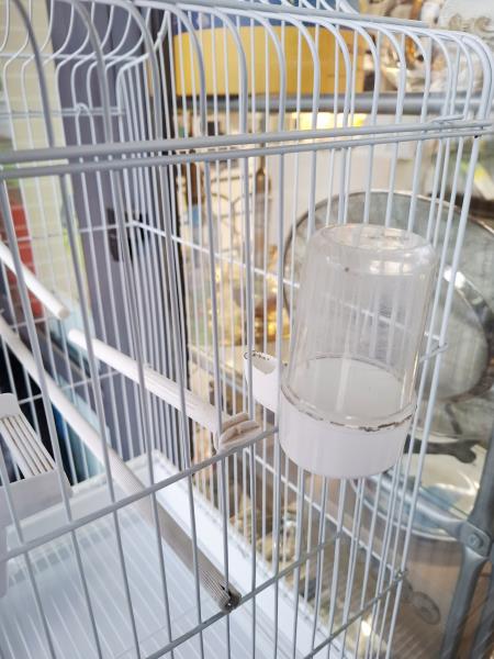 GABBIA CANARINI CON CARRELLINO