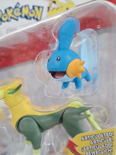 GIOCHINO POKEMON