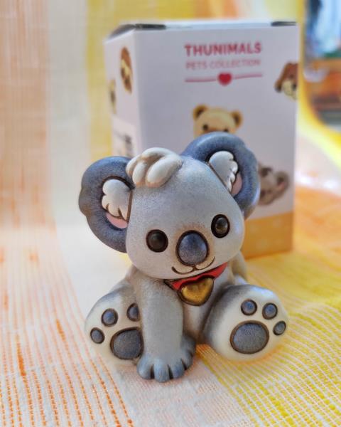KOALA MINI THUN