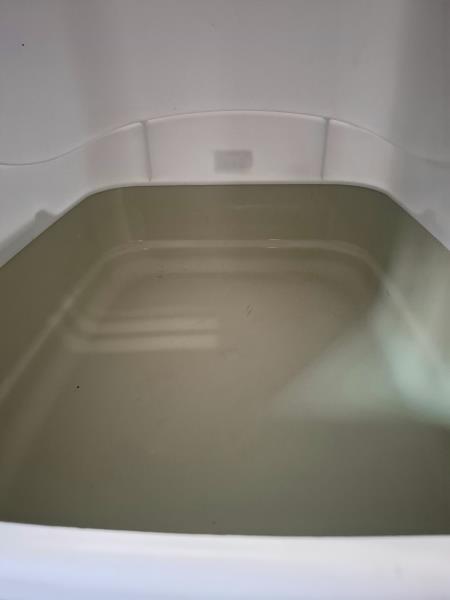 LETTIERA PER AMICO PELOSO