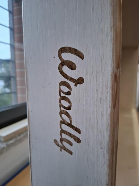 LETTINO MONTESSORI WOODLY