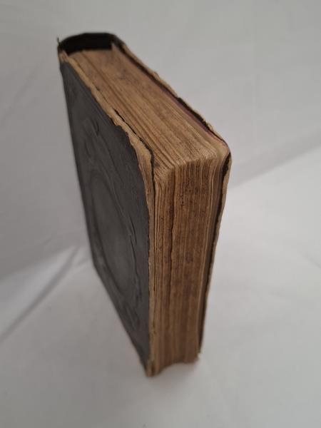 LIBRETTO D'EPOCA LA PIA GIOVINETTA