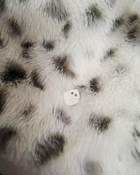 PELLICCIOTTO ZETA DALMATA TG 6 MESI