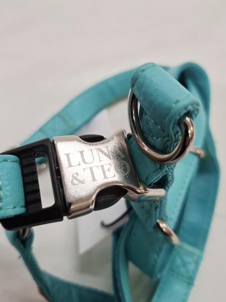 PETTORINA LUNA E TEO AZZURRA