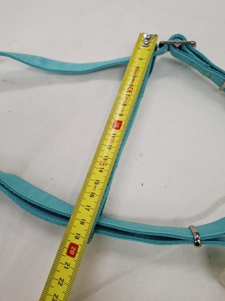 PETTORINA LUNA E TEO AZZURRA