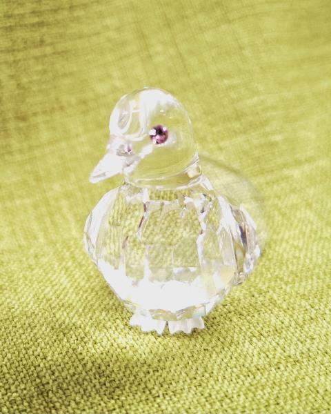 PICCIONE SWAROVSKI