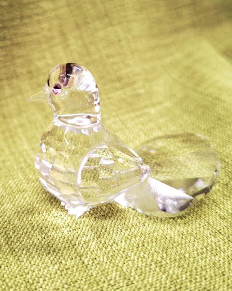 PICCIONE SWAROVSKI