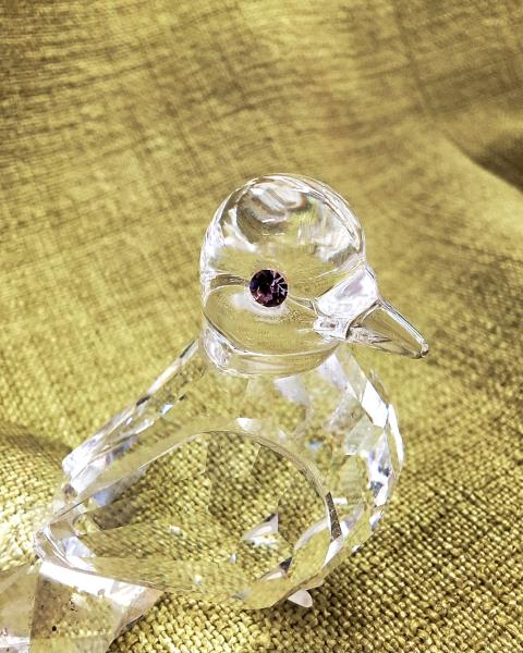 PICCIONE SWAROVSKI