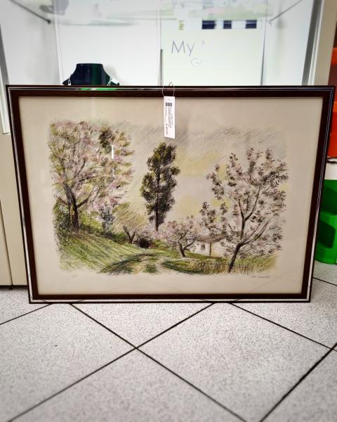 QUADRO LITOGRAFIA M. CASCELLA 50X70 7/125