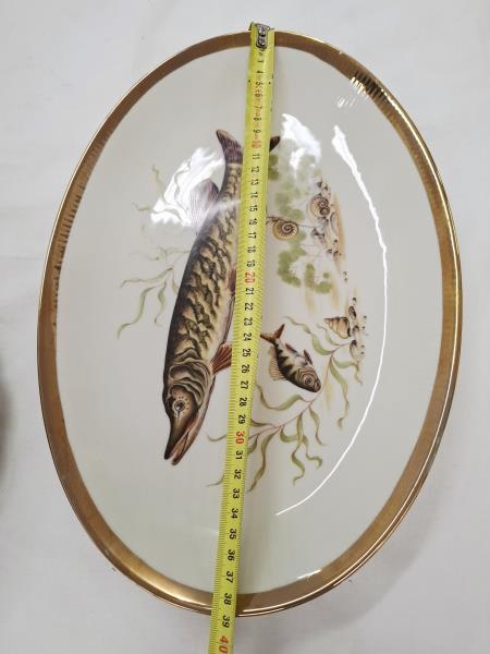 SERVIZIO PESCE BAVARIA BORDO DORATO