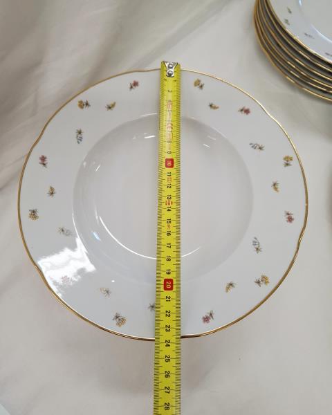 SERVIZIO PIATTI GINORI FIORELLINI X 6 PERSONE