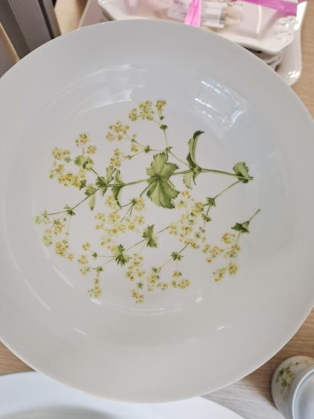 SERVIZIO PIATTI GINORI MIMOSE 12+12+12+4+ZUPPIERA