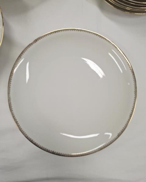 SERVIZIO PIATTI PORCELLANA SCHIRNDING X 10 PERSONE