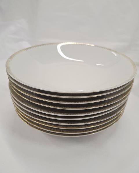 SERVIZIO PIATTI PORCELLANA SCHIRNDING X 10 PERSONE