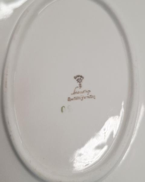 SERVIZIO PIATTI PORCELLANA SCHIRNDING X 10 PERSONE