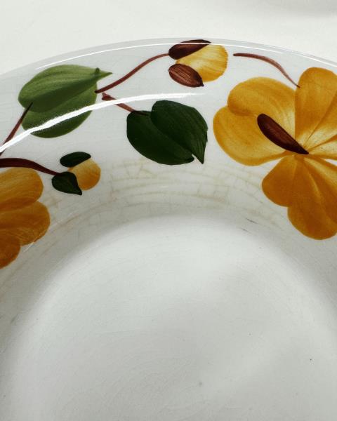 SERVIZIO PIATTI RICHARD GINORI MONDOVI' FIORI VINTAGE (manca un piatto fondo)
