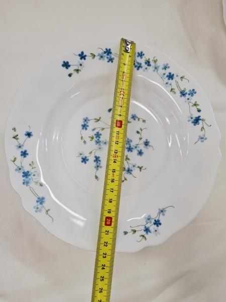 SET 12+12+2 PIATTI ARCOPAL FIORELLINI AZZURRI