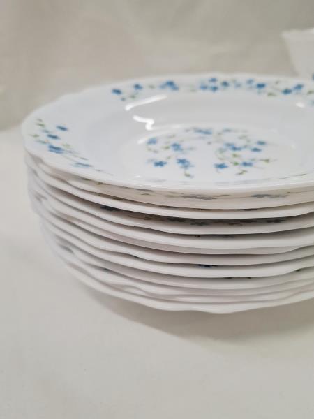 SET 12+12+2 PIATTI ARCOPAL FIORELLINI AZZURRI