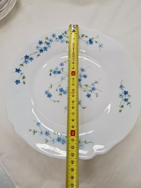 SET 12+12+2 PIATTI ARCOPAL FIORELLINI AZZURRI