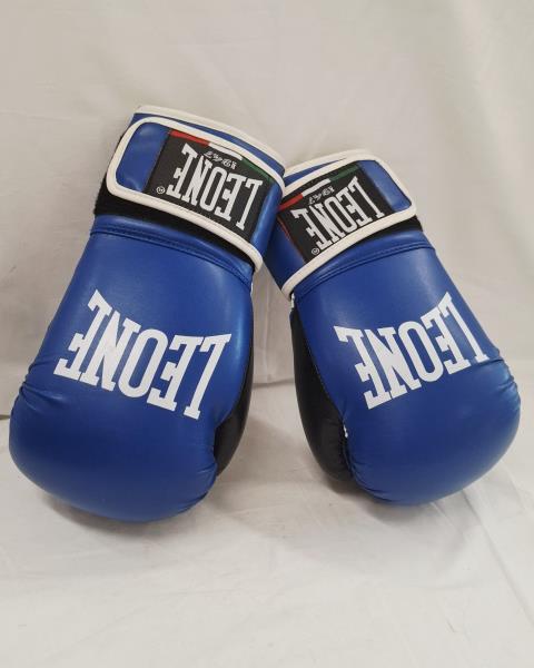 SET KICK BOXING (CALZARI+GUANTONI+PARASTINCHI + BORSONE)