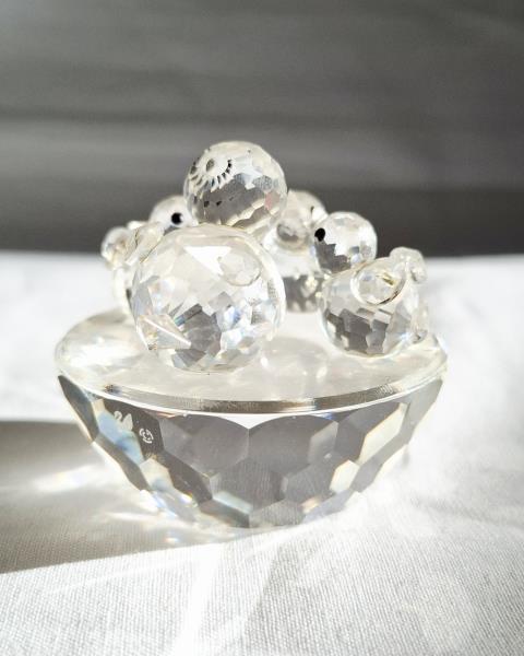 SWAROVSKI FAMIGLIA PULCINI