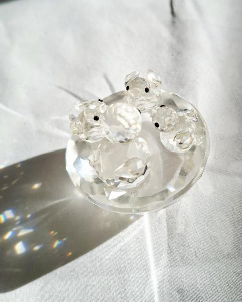 SWAROVSKI FAMIGLIA PULCINI