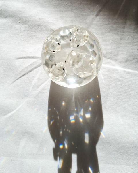 SWAROVSKI FAMIGLIA PULCINI