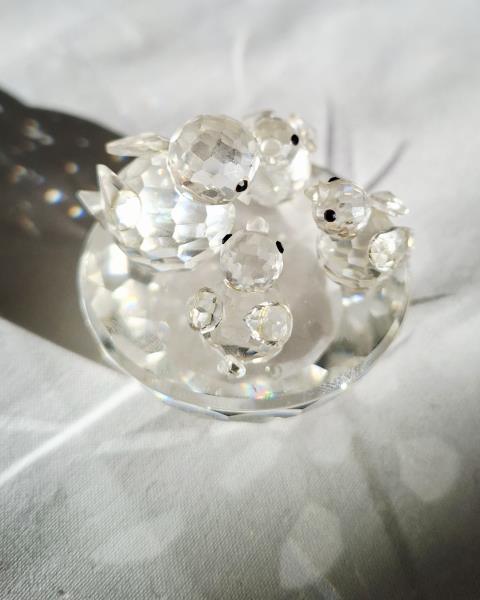 SWAROVSKI FAMIGLIA PULCINI