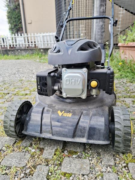 TAGLIAERBA SCOPPIO VIGOR