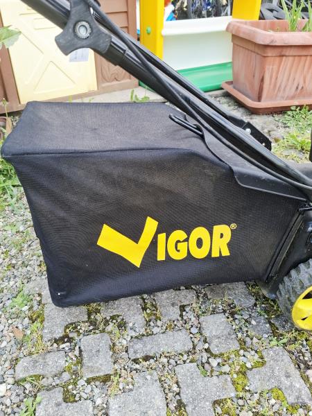 TAGLIAERBA SCOPPIO VIGOR