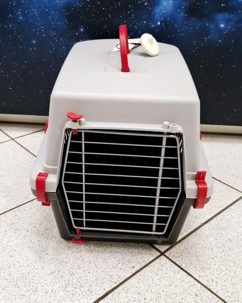 TRASPORTINO GRIGIO ROSSO