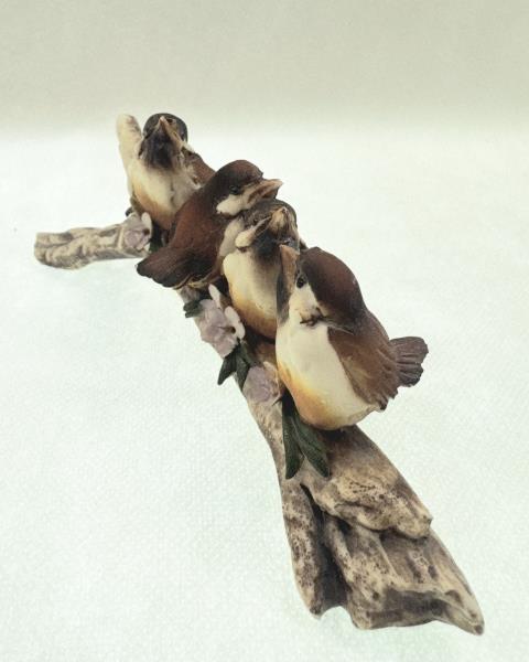 TRONCO PASSEROTTI CAPODIMONTE