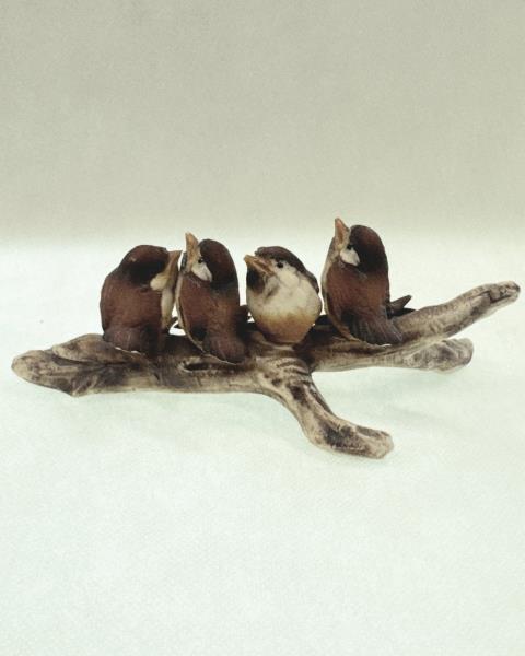 TRONCO PASSEROTTI CAPODIMONTE