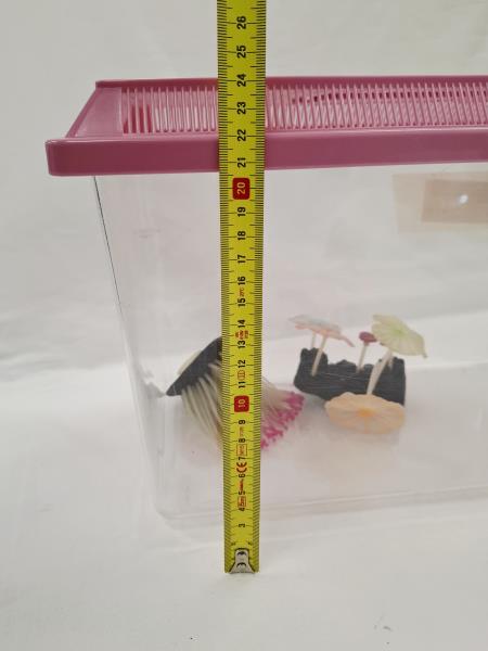 VASCHETTA PESCI ROSA CON DECORI